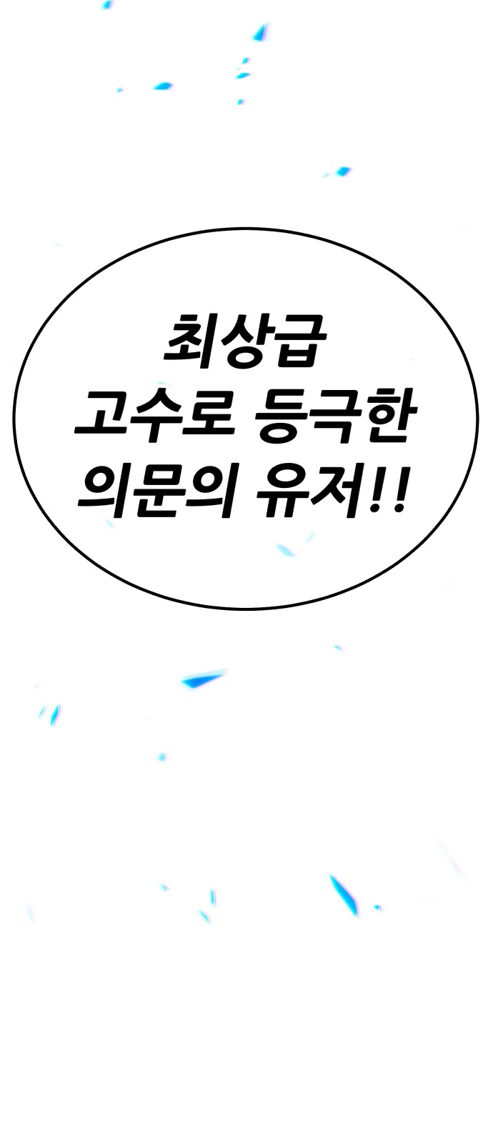 248 페이지