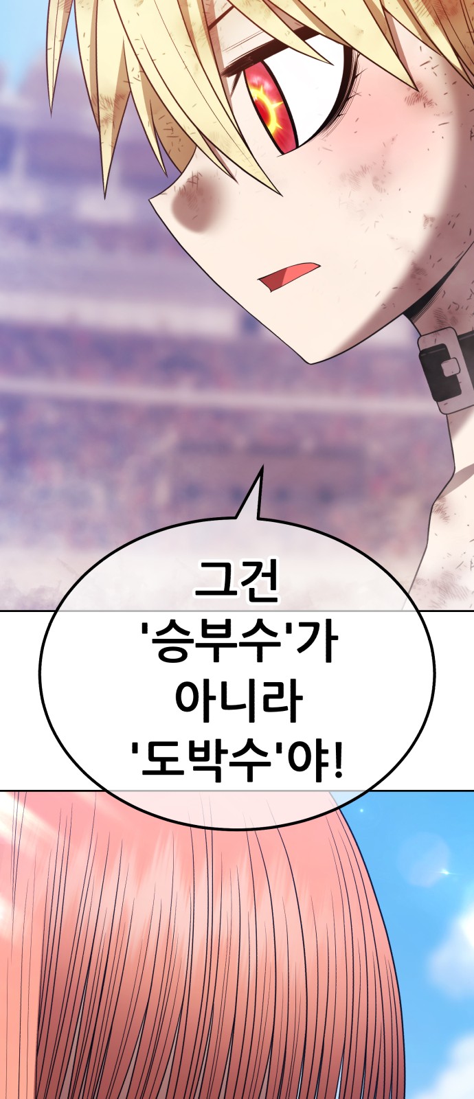 224 페이지