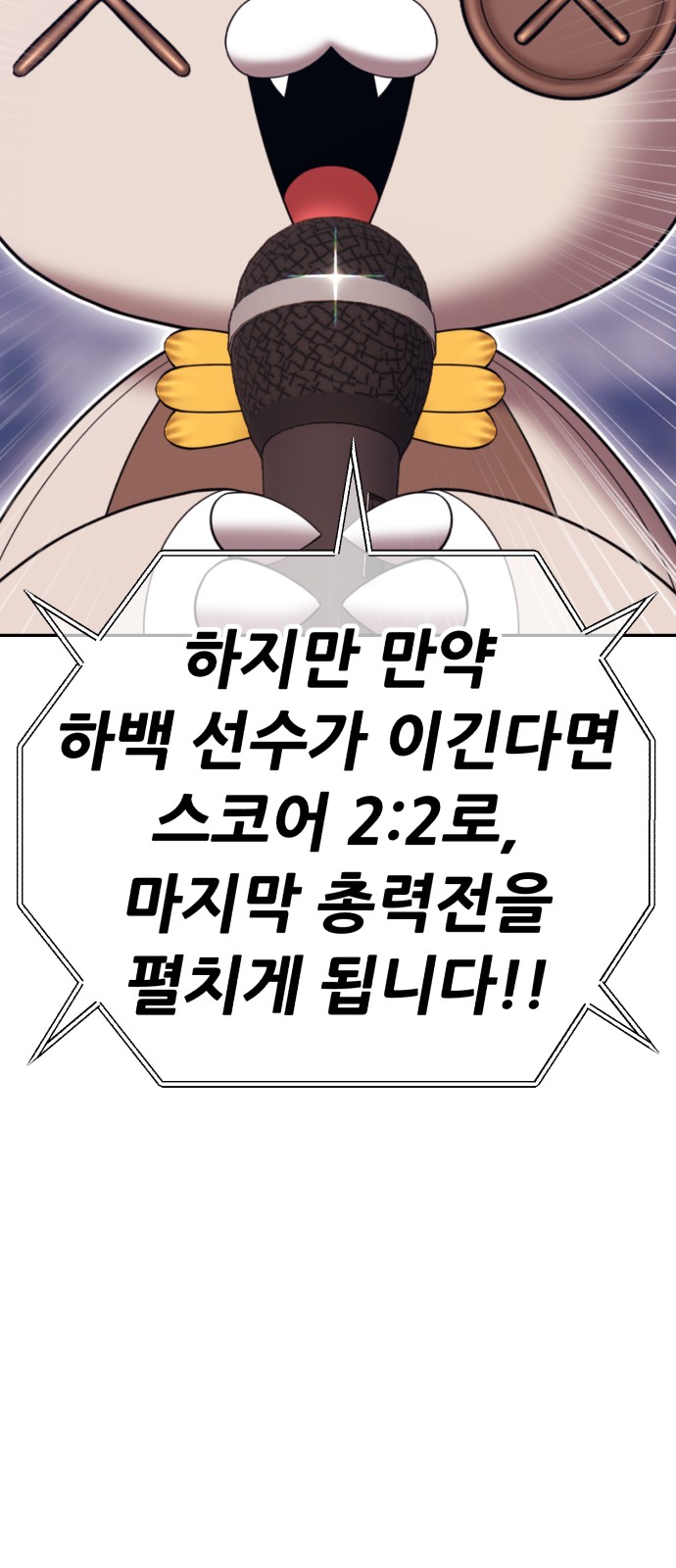 252 페이지