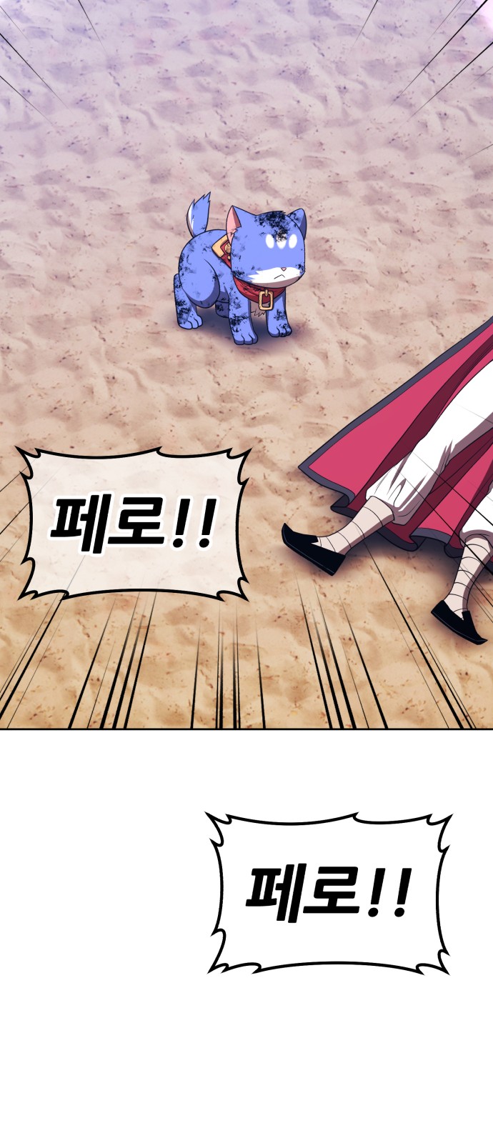 244 페이지