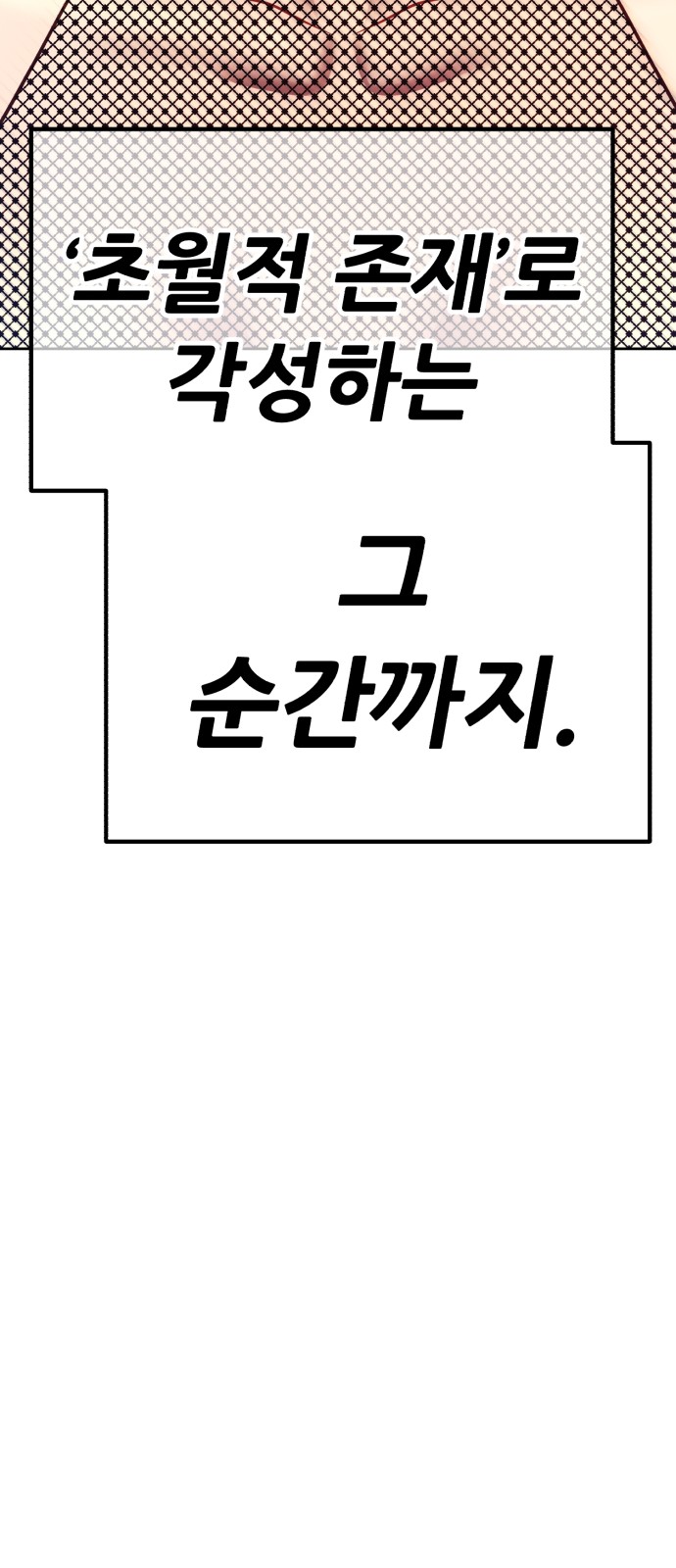 213 페이지