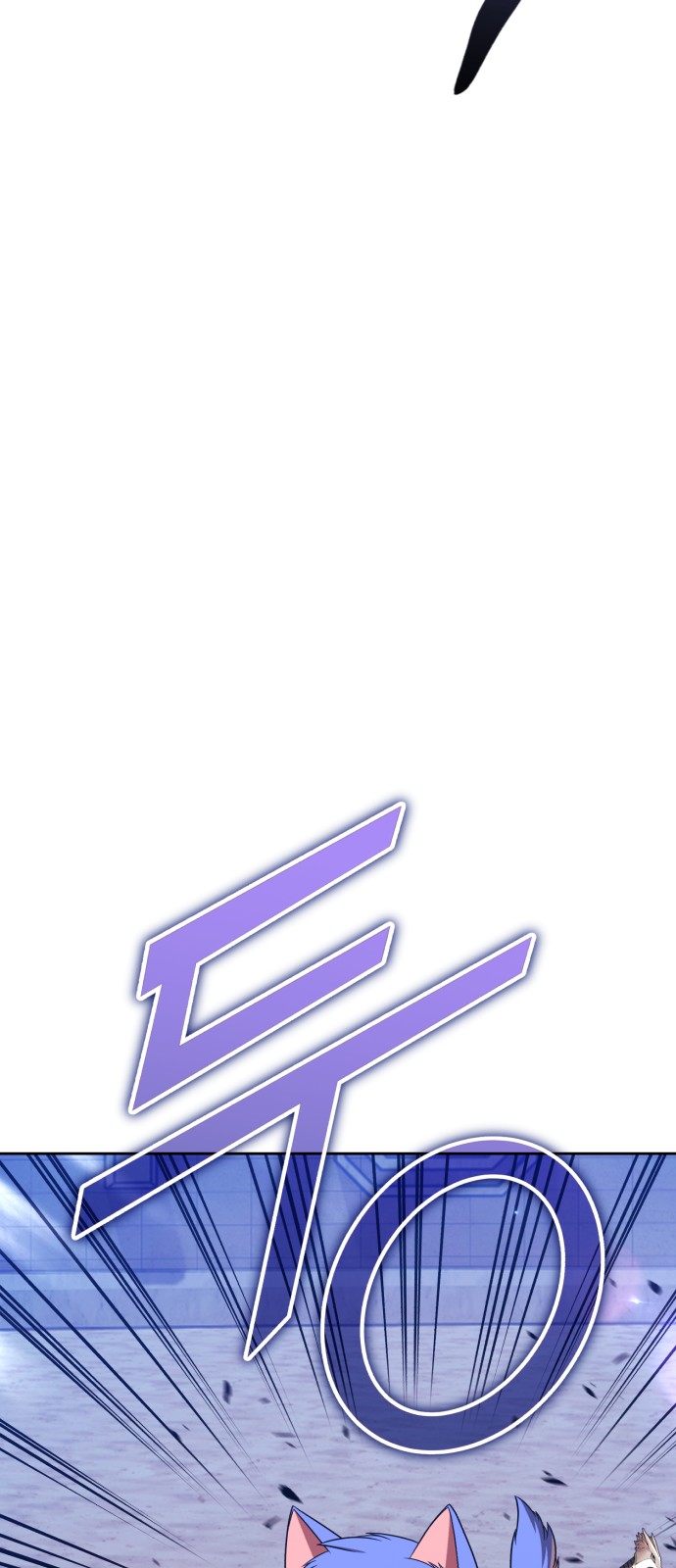 249 페이지