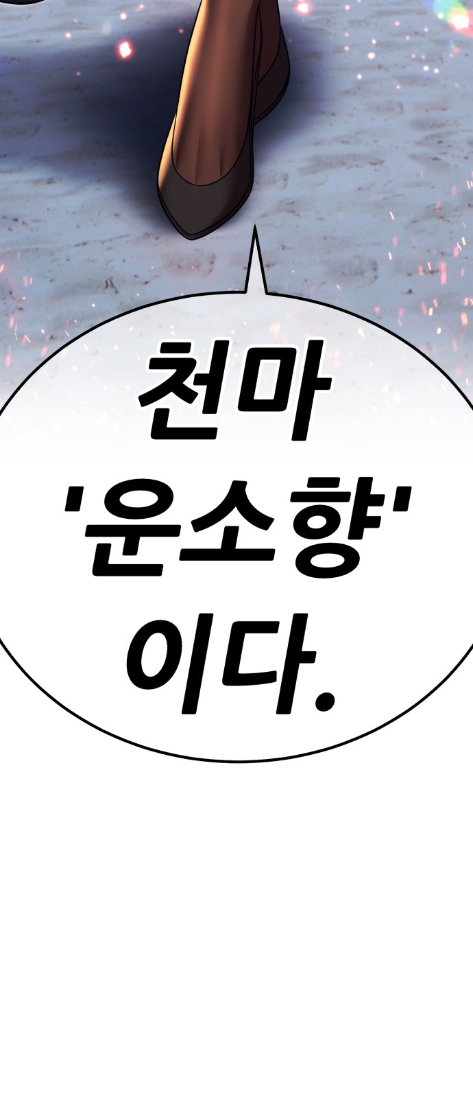 255 페이지
