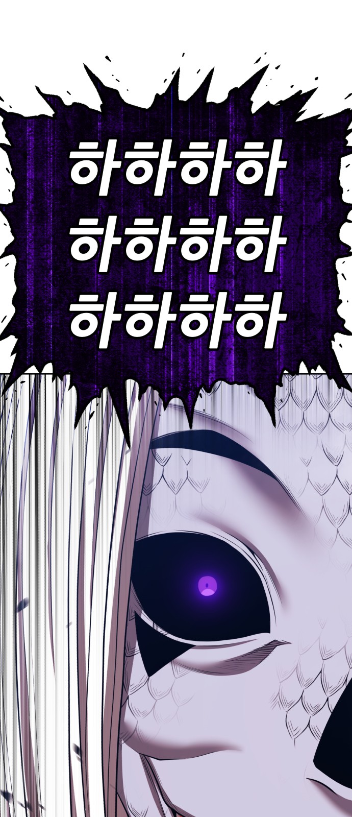 244 페이지
