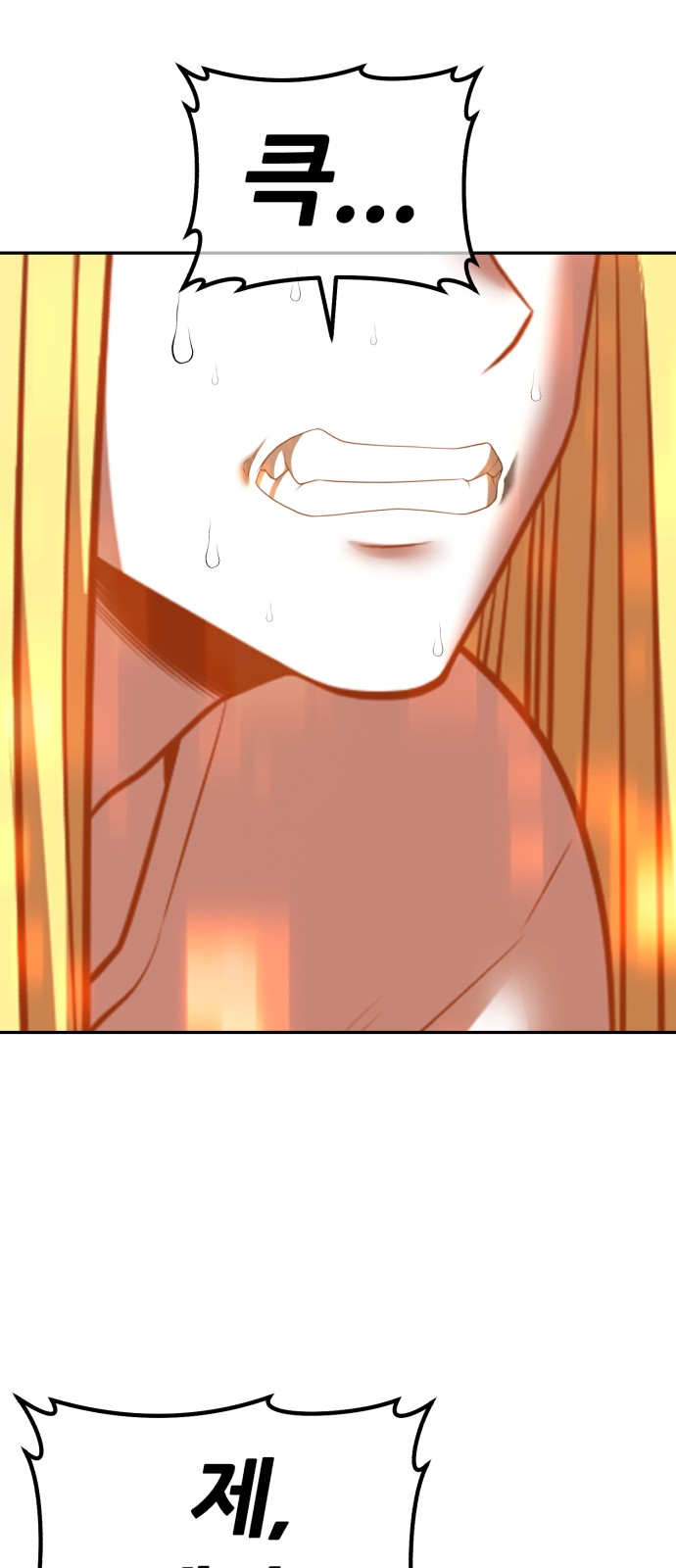 253 페이지