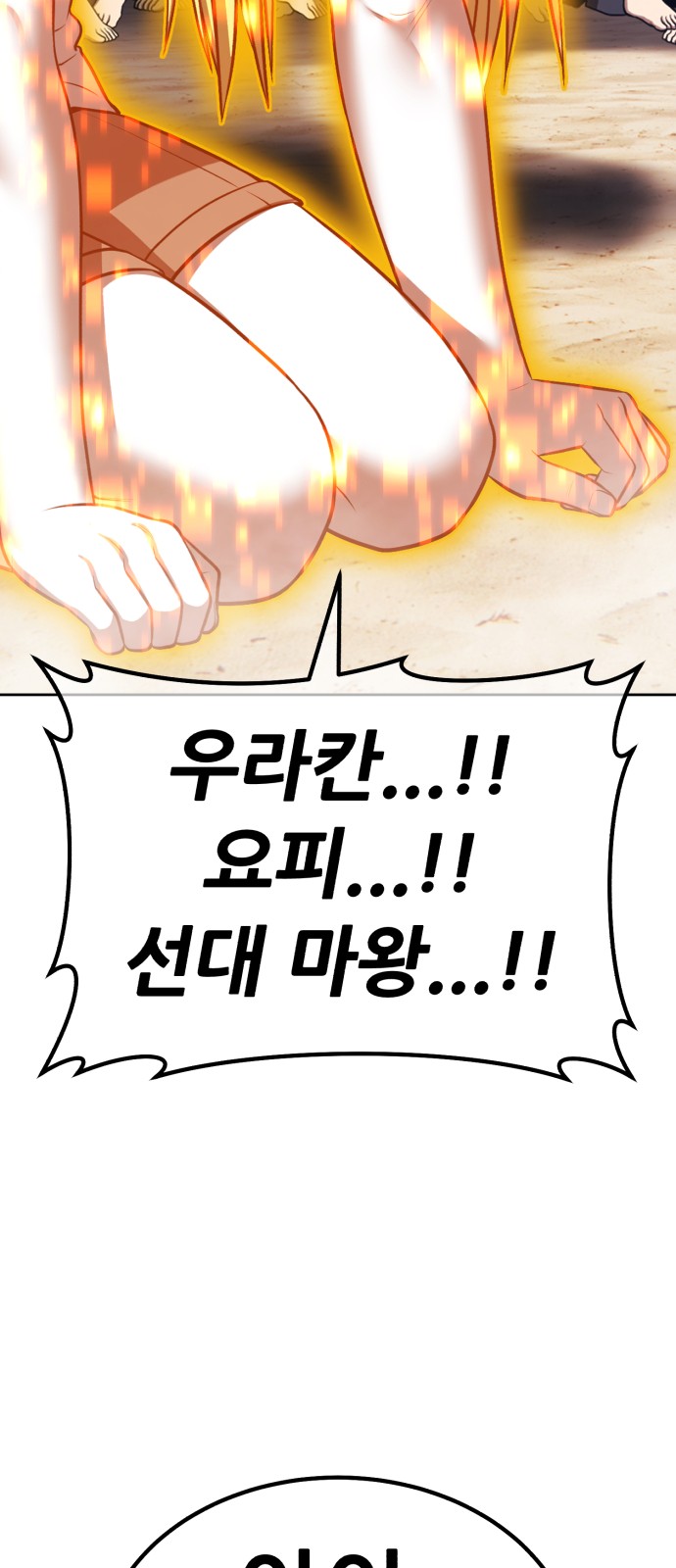 255 페이지