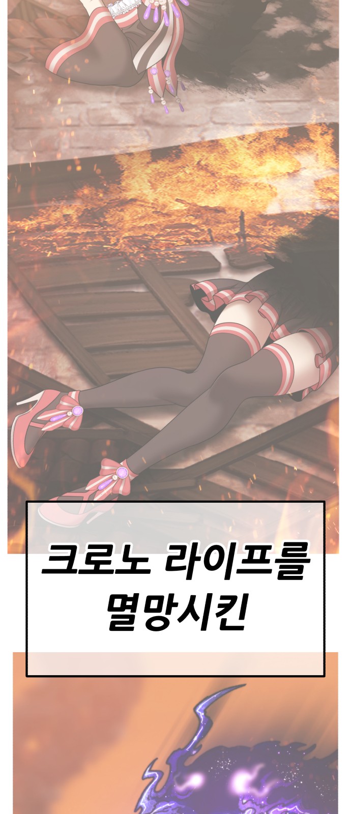 242 페이지
