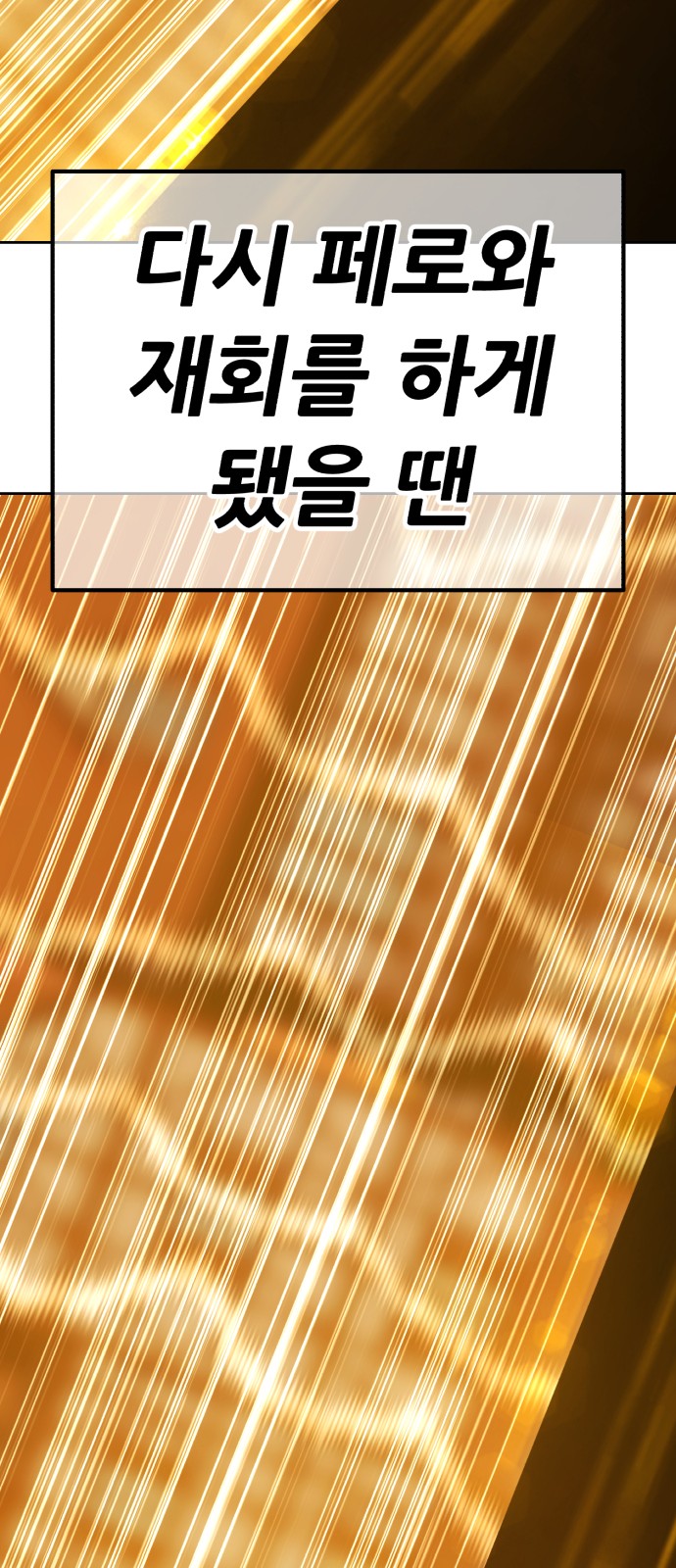 238 페이지