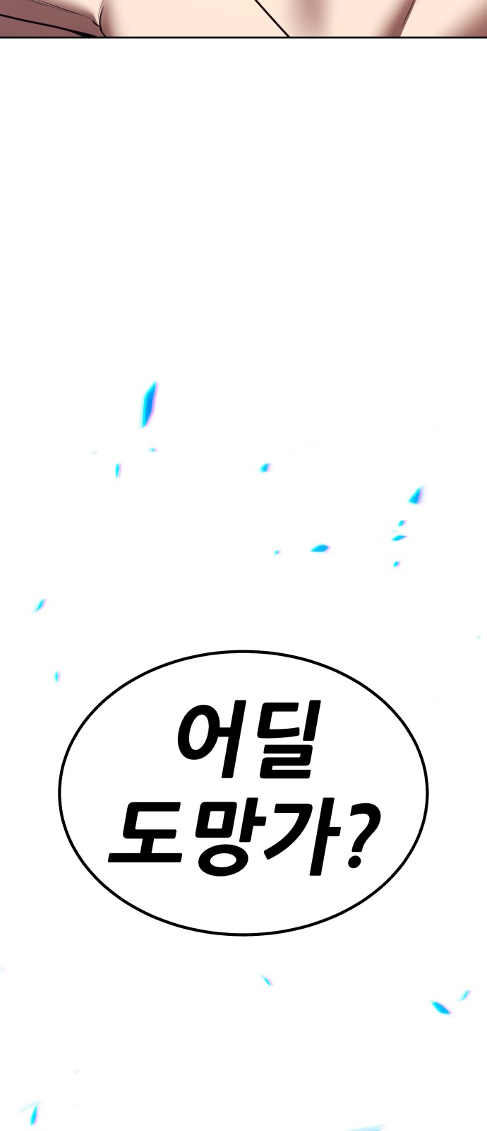 237 페이지