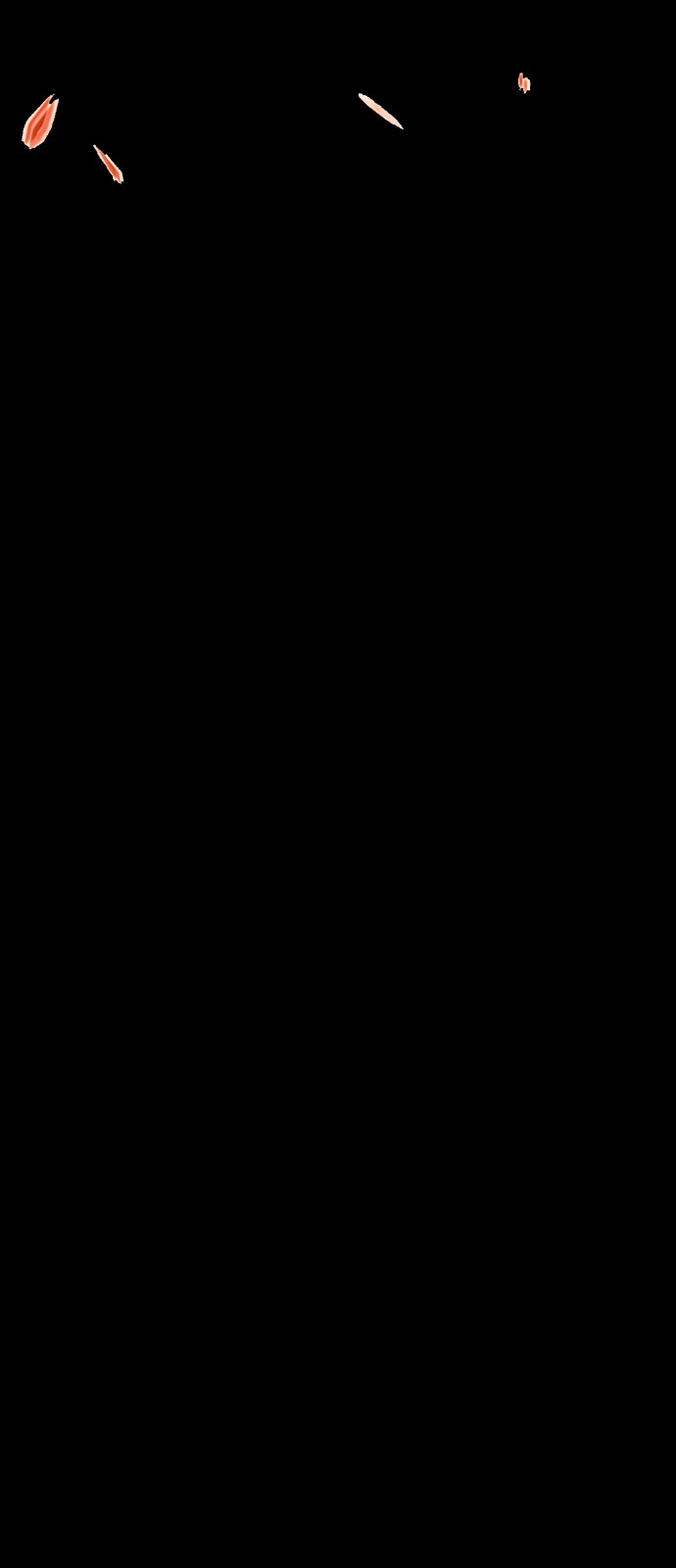 265 페이지