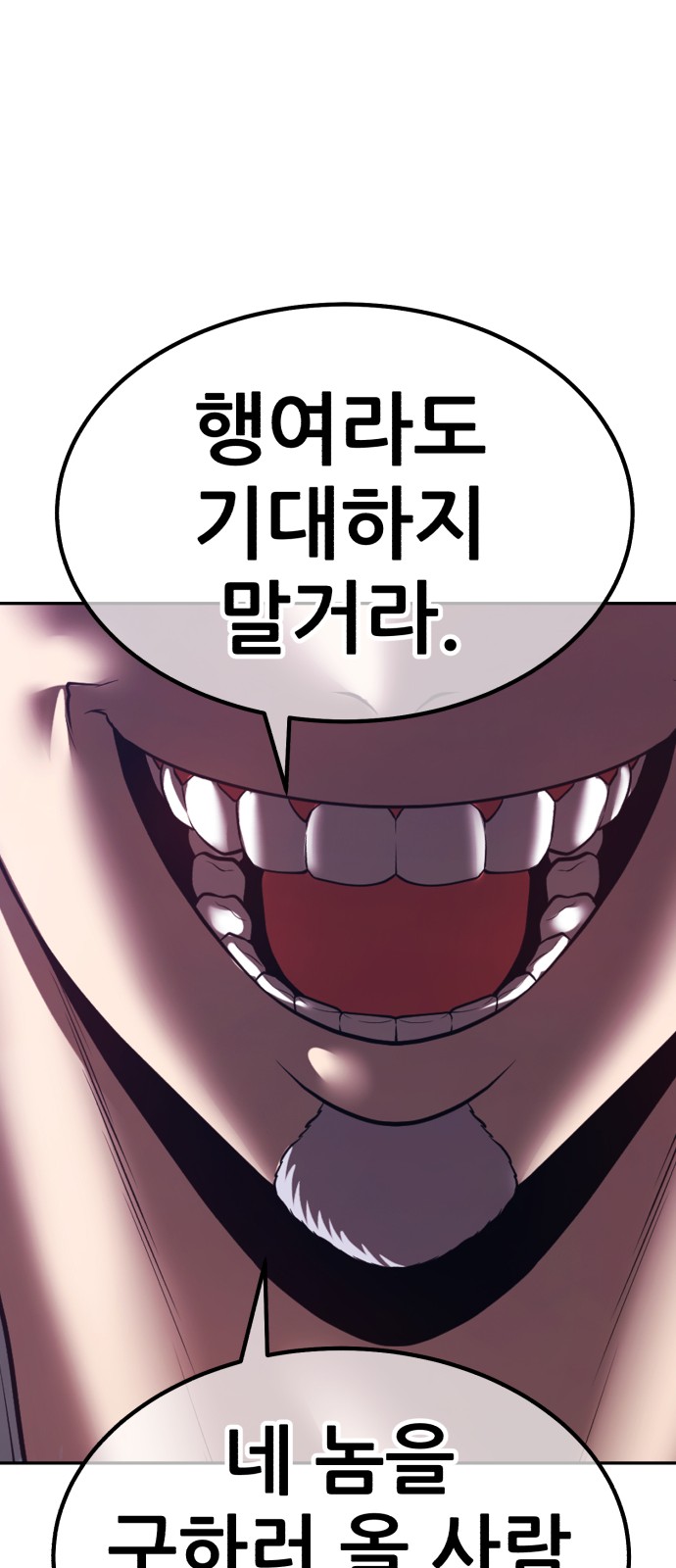 250 페이지