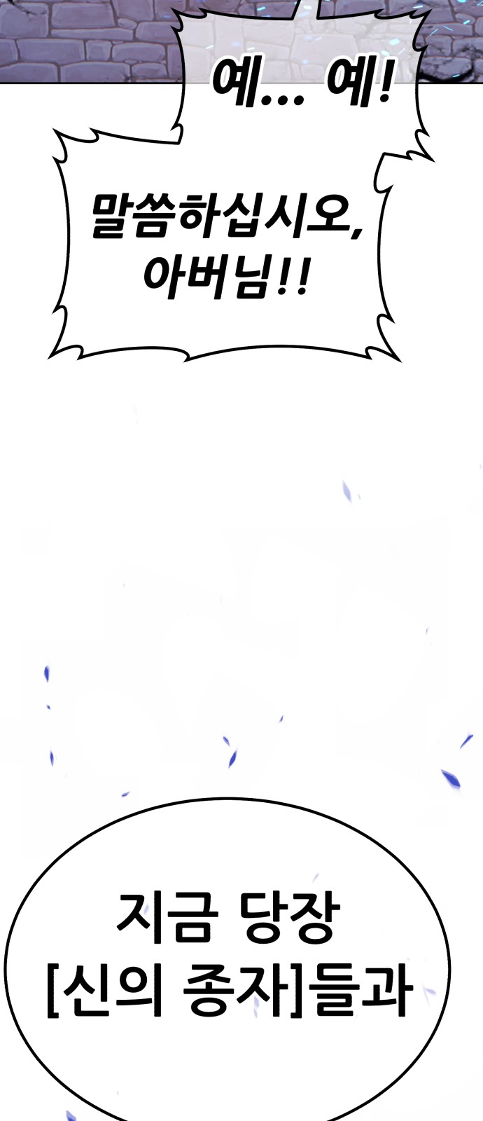 256 페이지