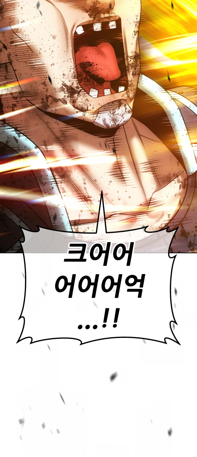 208 페이지