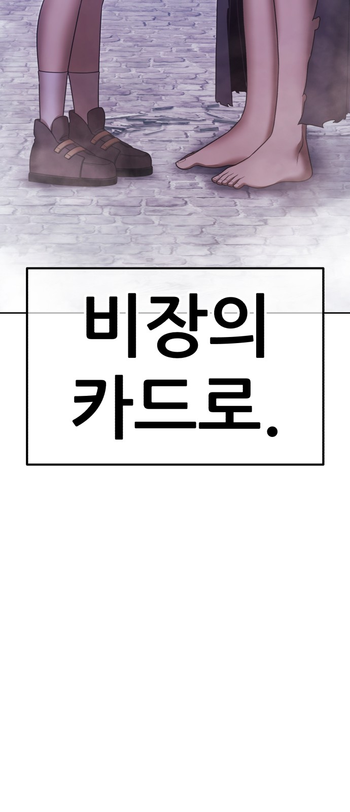 244 페이지
