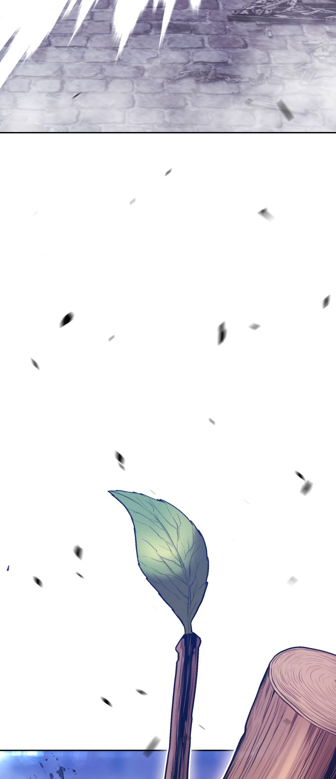 264 페이지