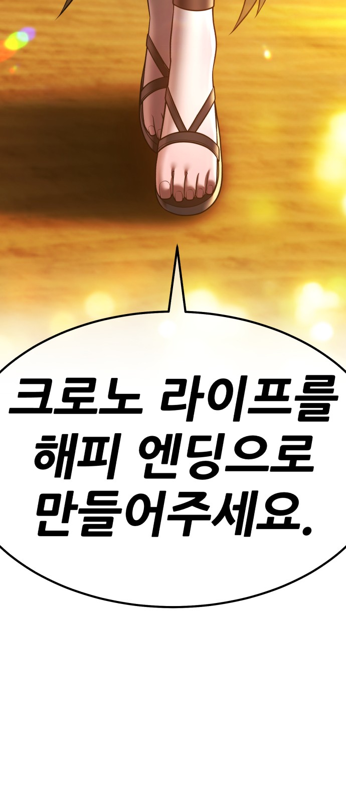 255 페이지