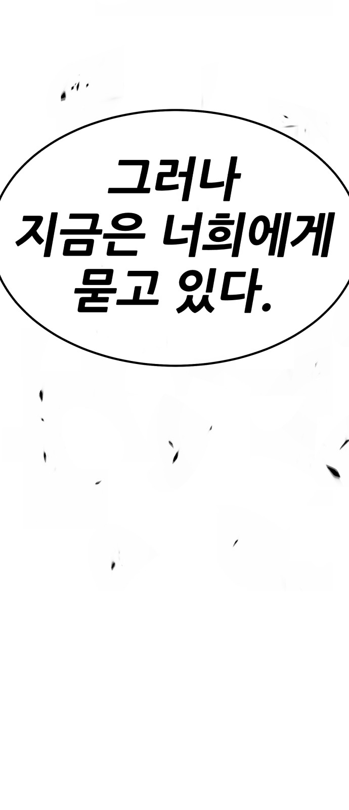 237 페이지