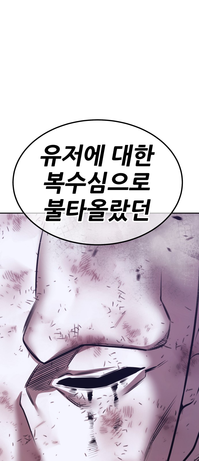 250 페이지