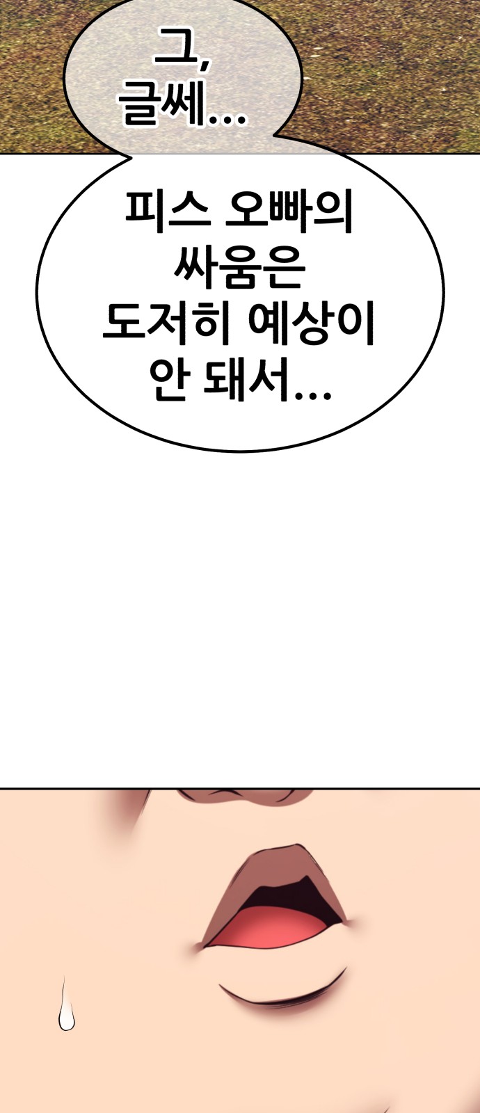 252 페이지