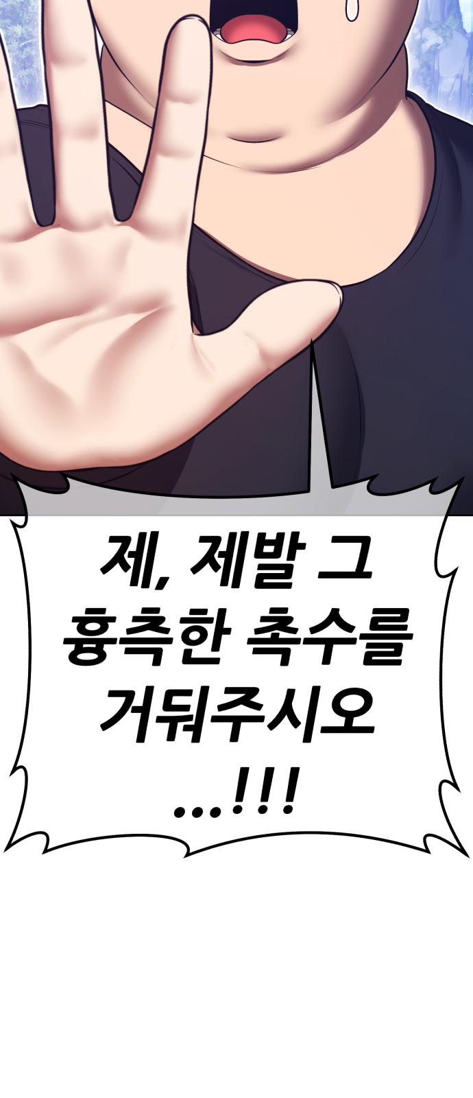 237 페이지