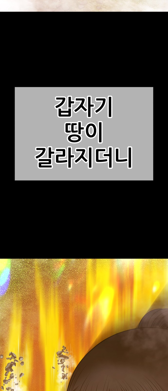 229 페이지