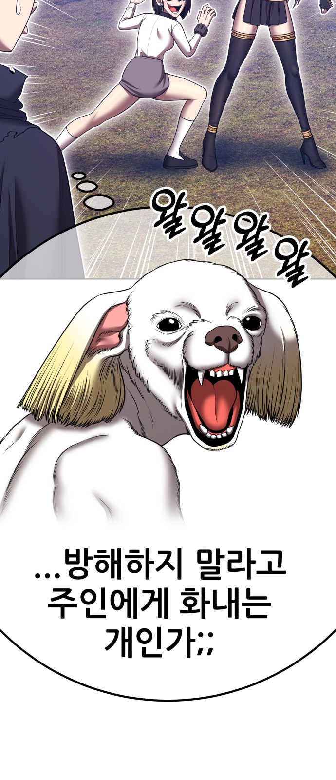 67 페이지