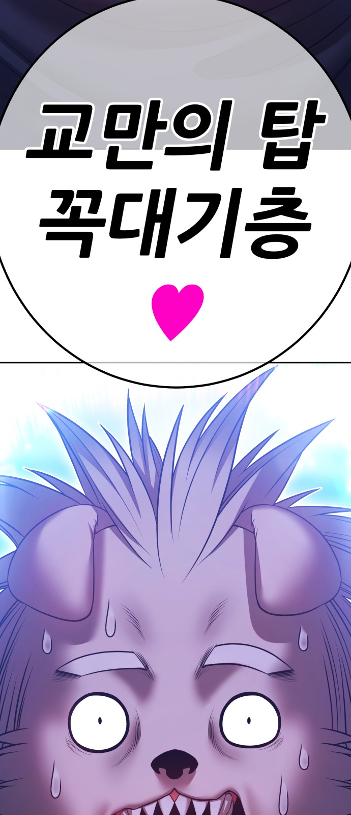 237 페이지