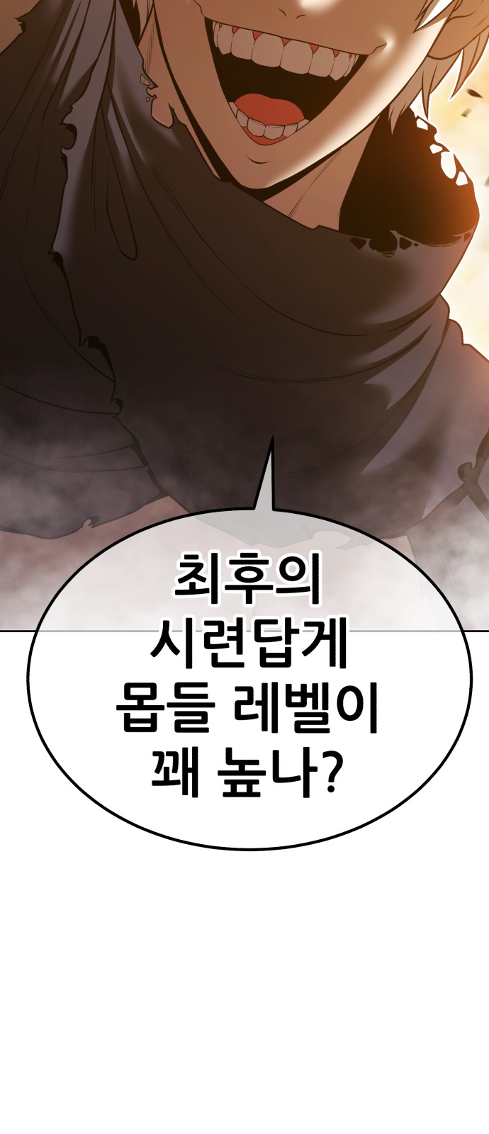 223 페이지