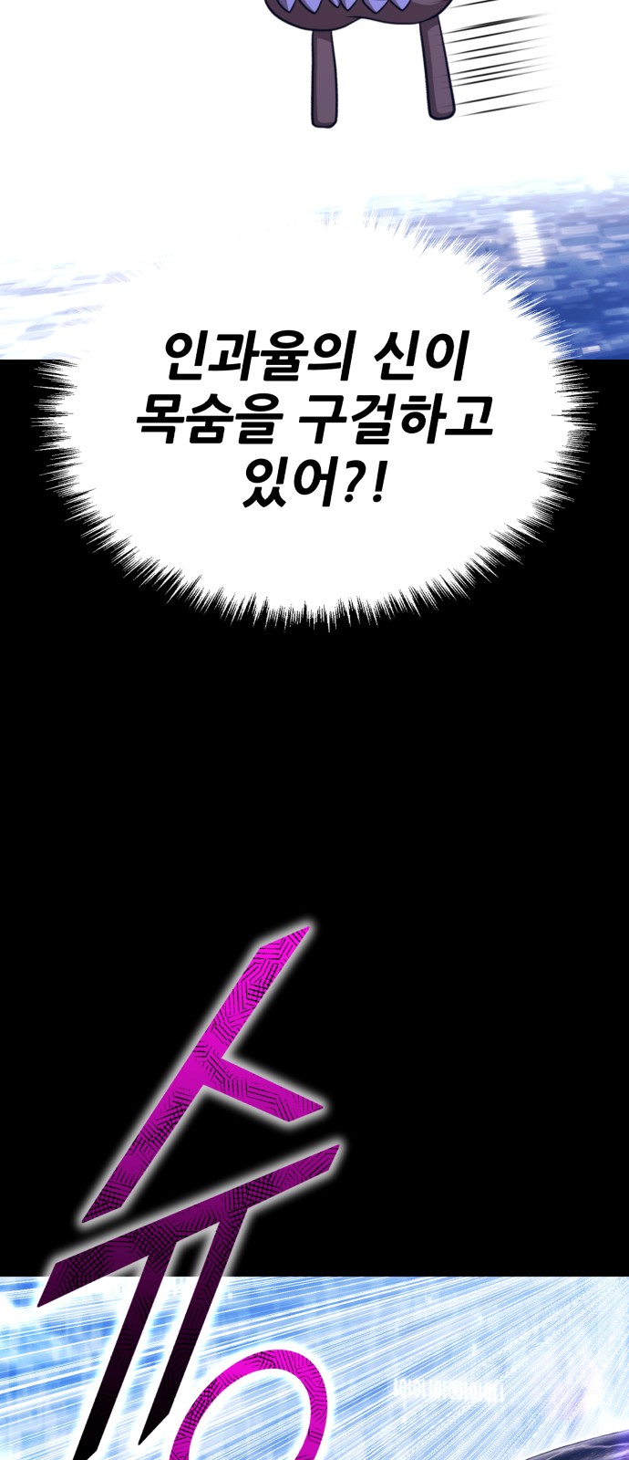 224 페이지