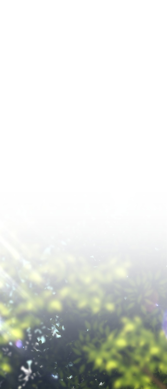 199 페이지