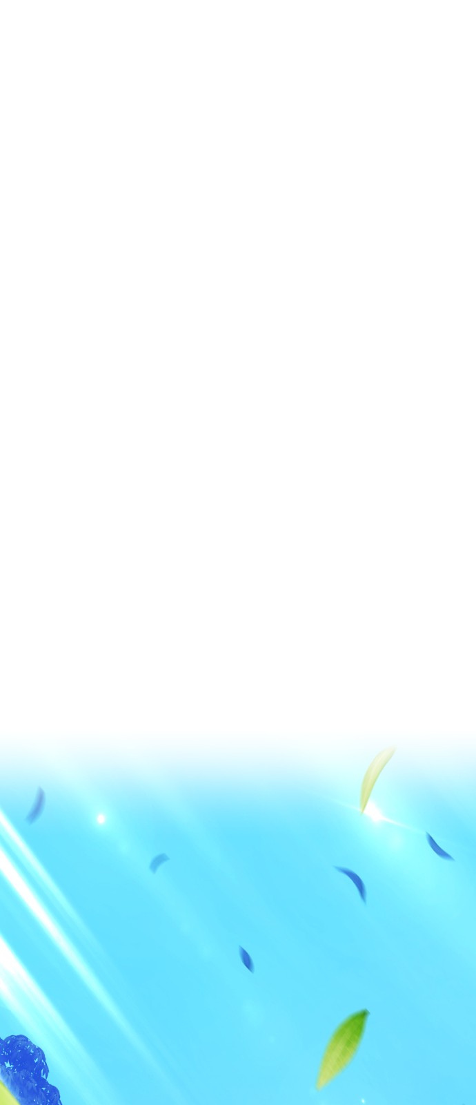 229 페이지