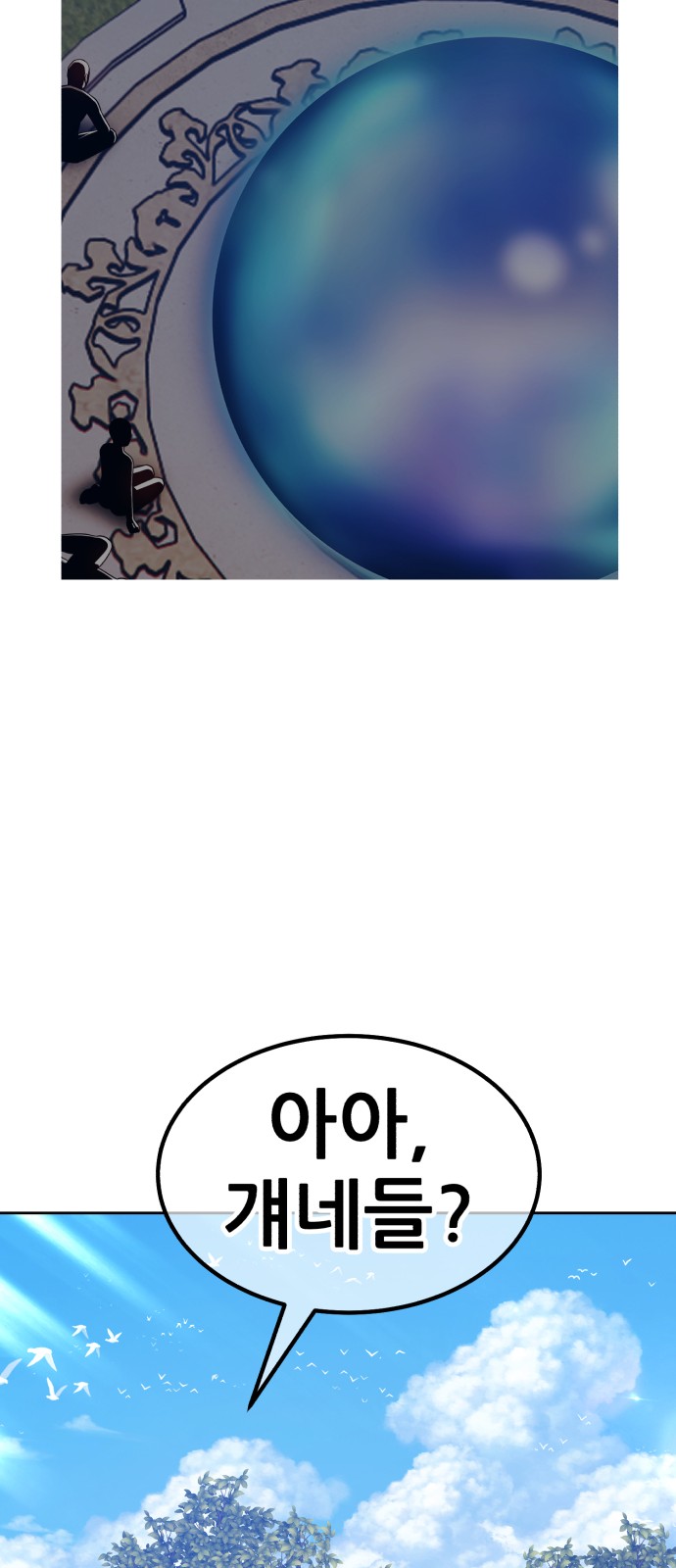 244 페이지