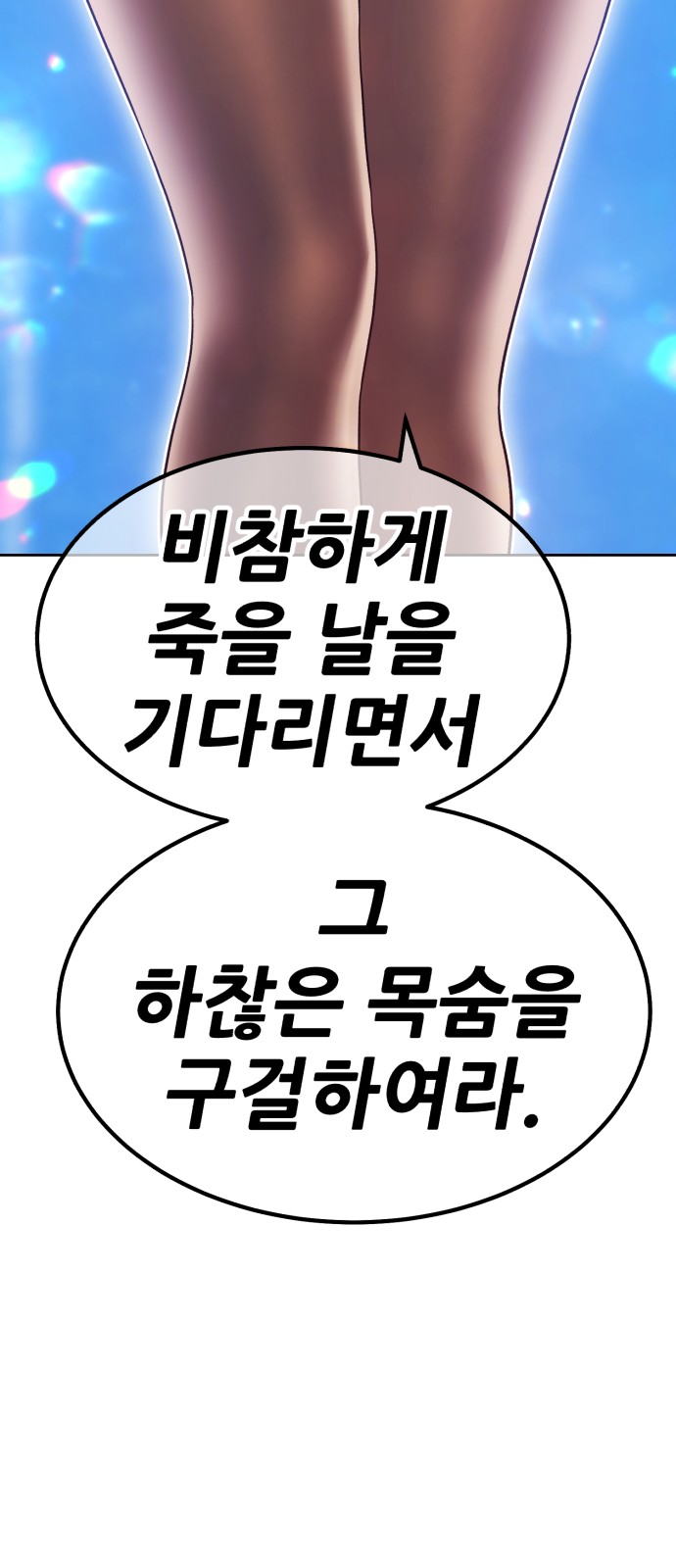 252 페이지