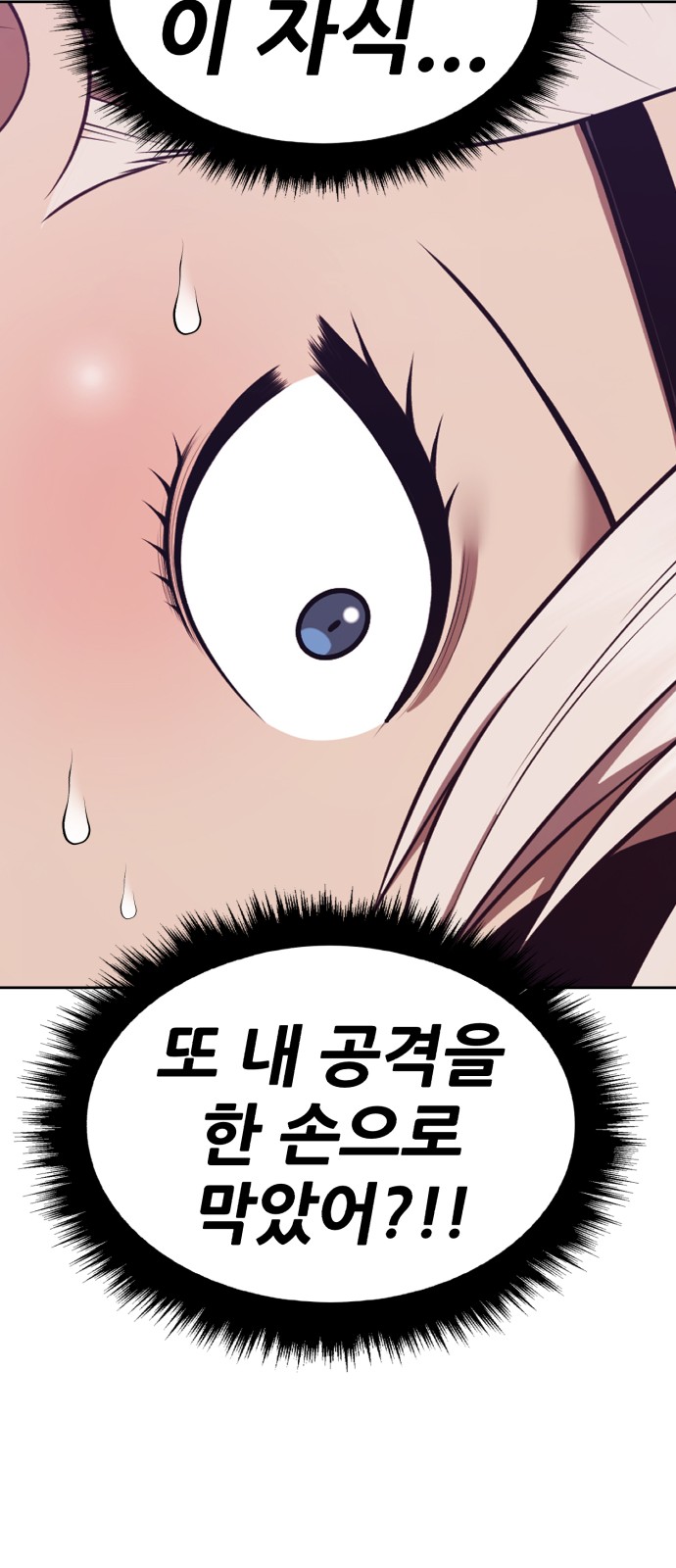248 페이지