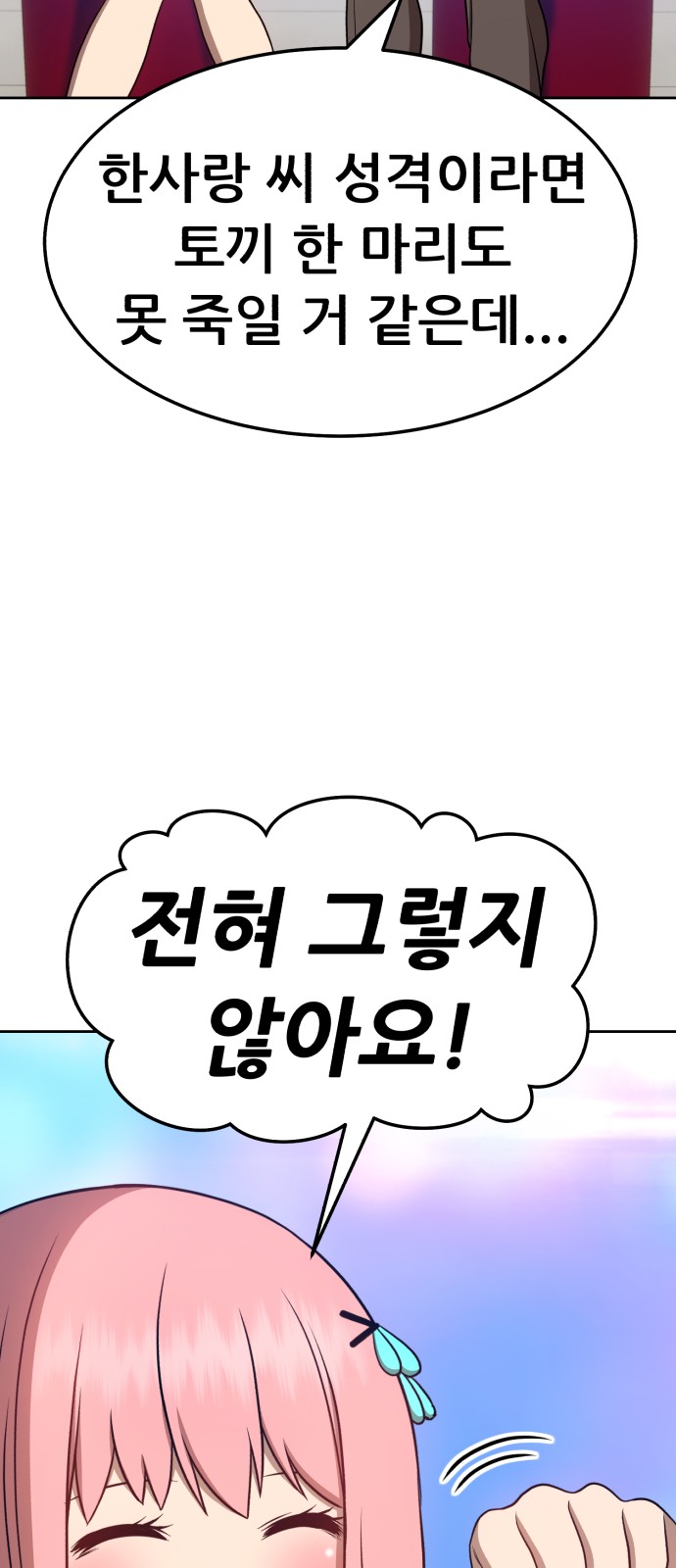 243 페이지