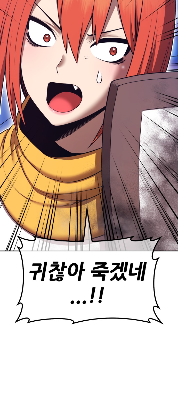 60 페이지