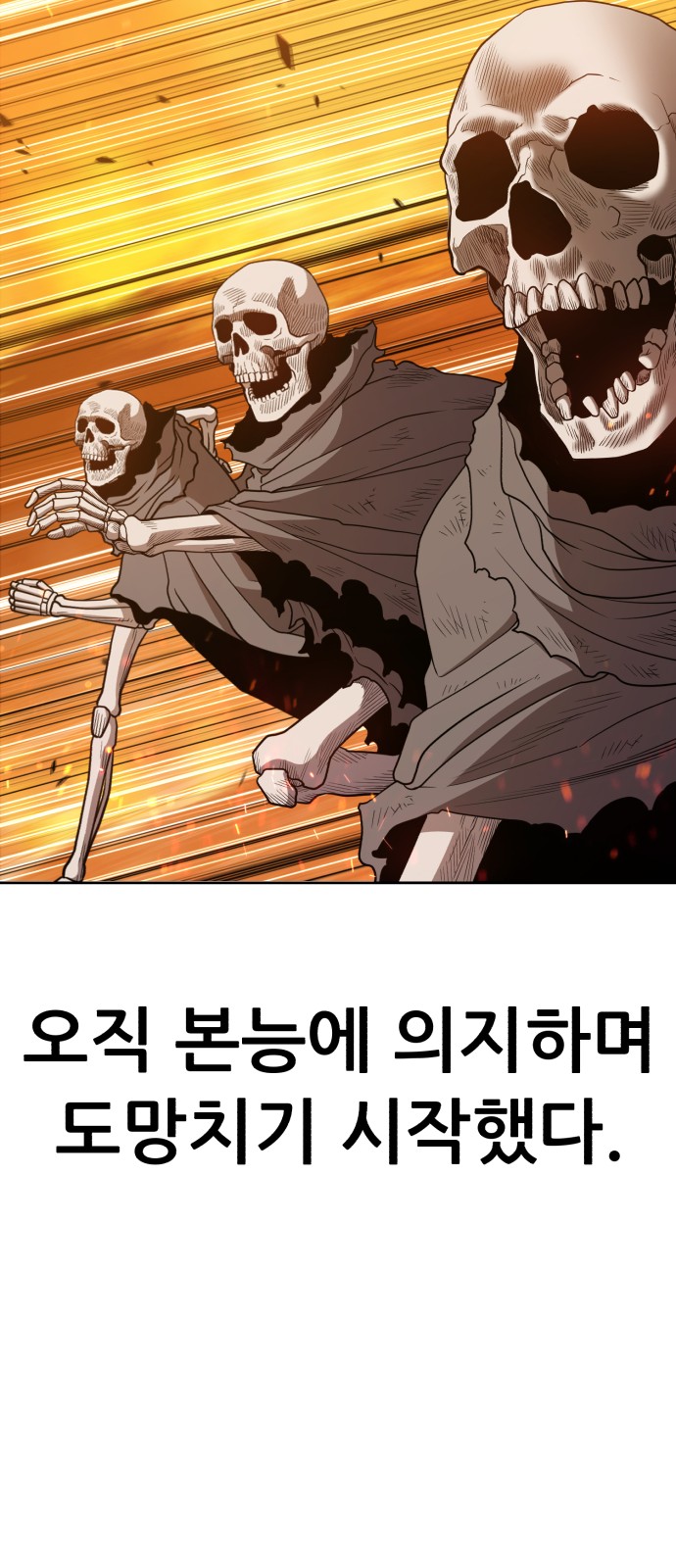 142 페이지