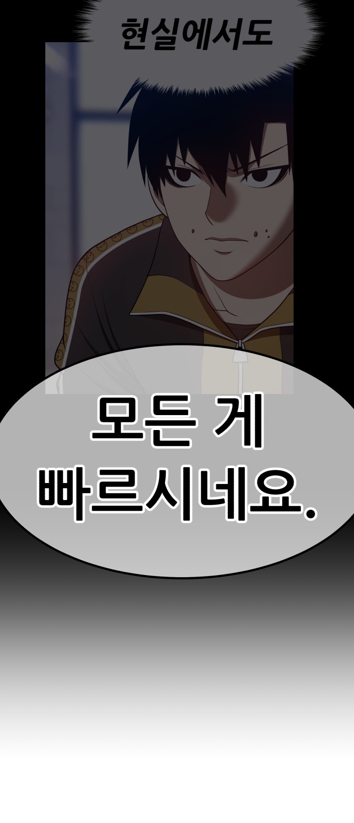 242 페이지