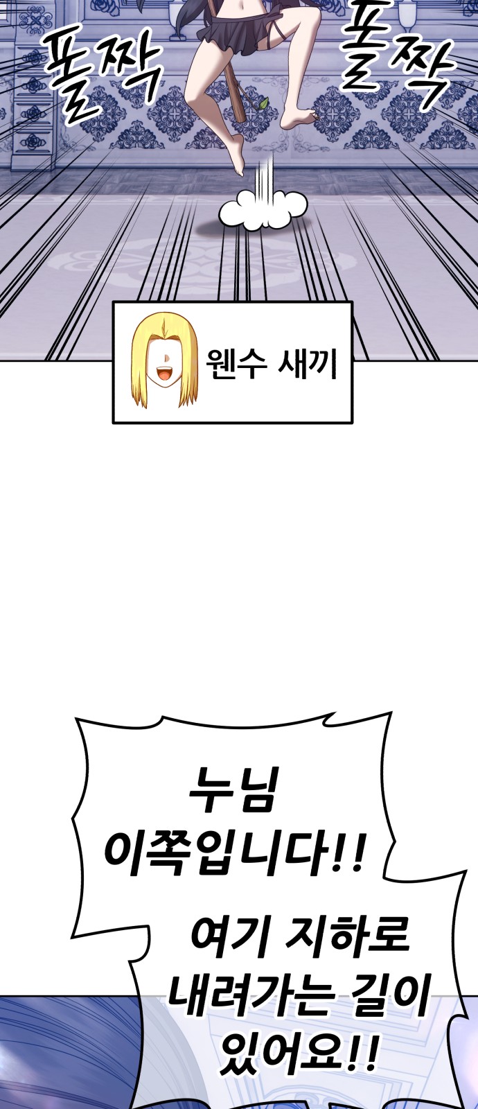 229 페이지