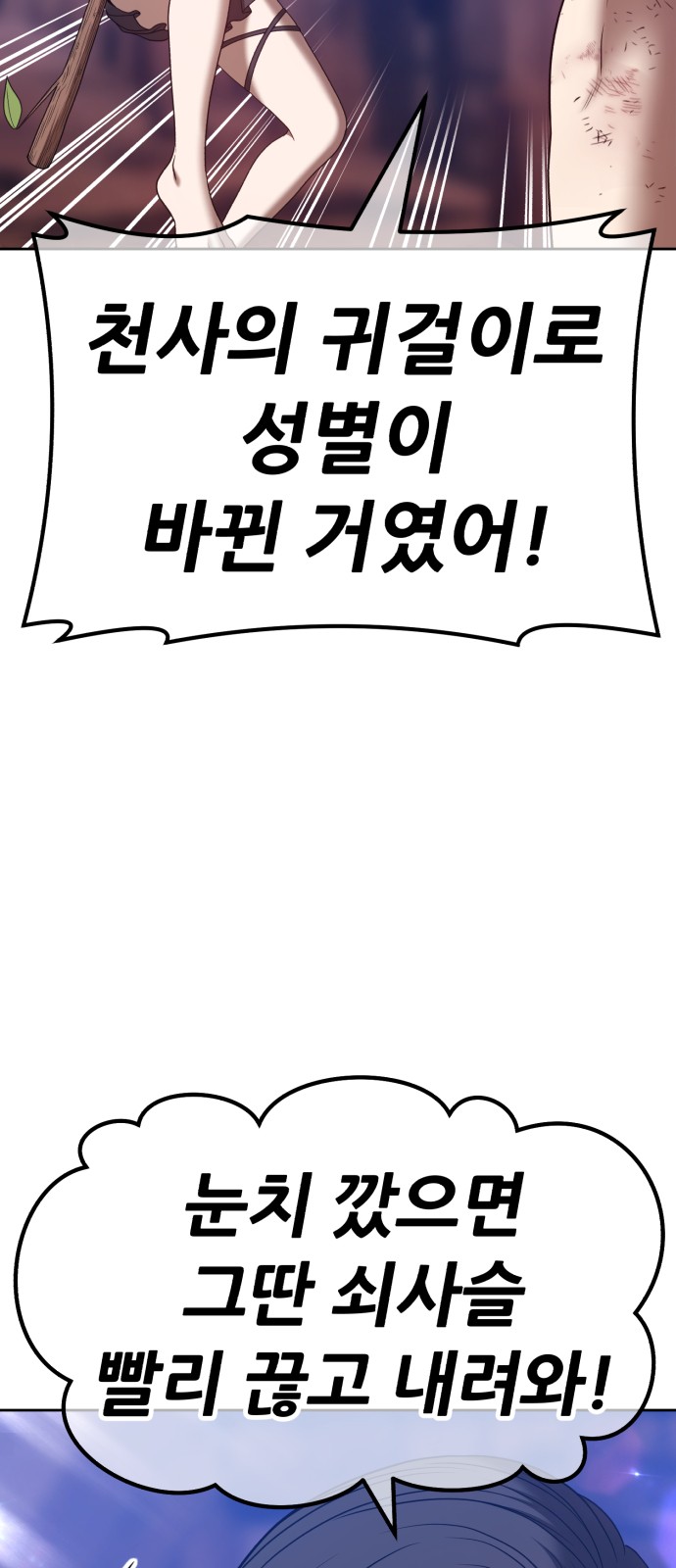246 페이지
