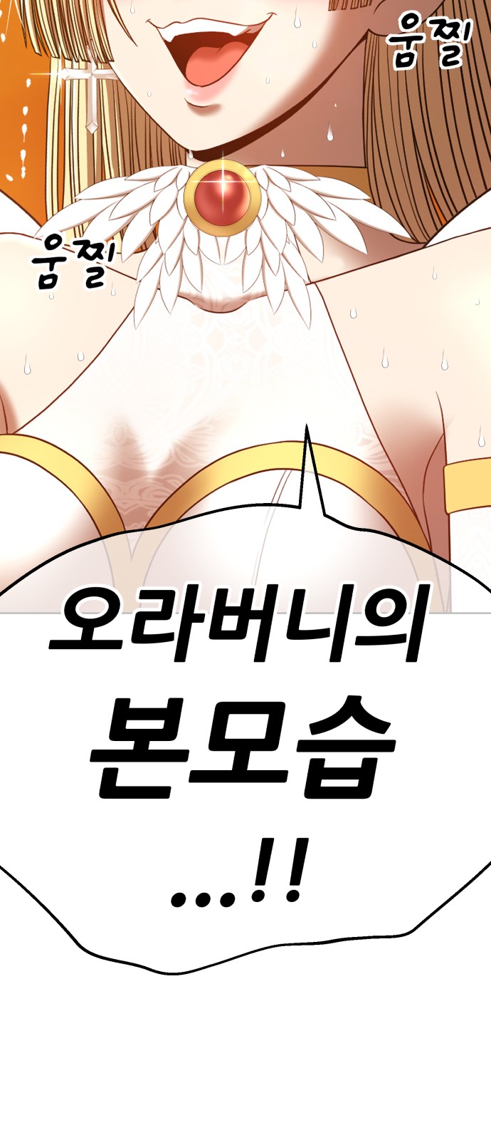 256 페이지