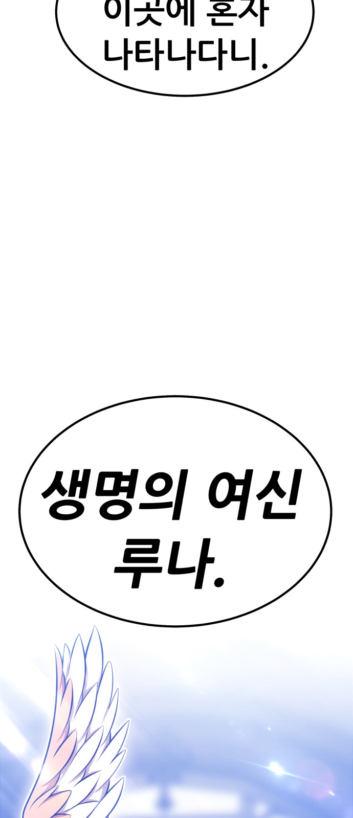 238 페이지