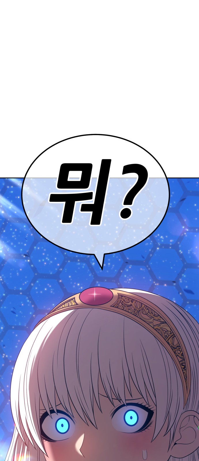 244 페이지