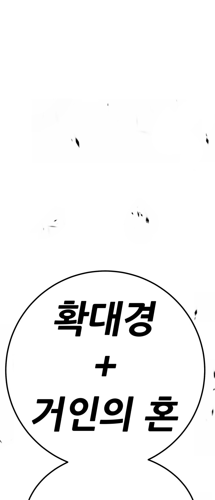 249 페이지