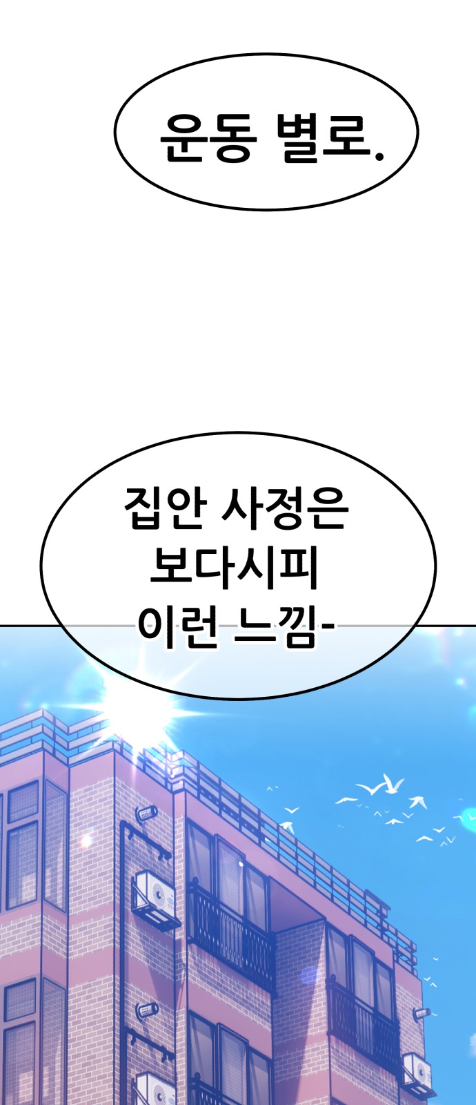 216 페이지