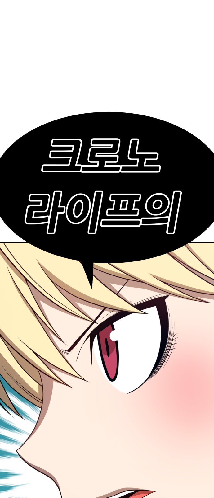 255 페이지