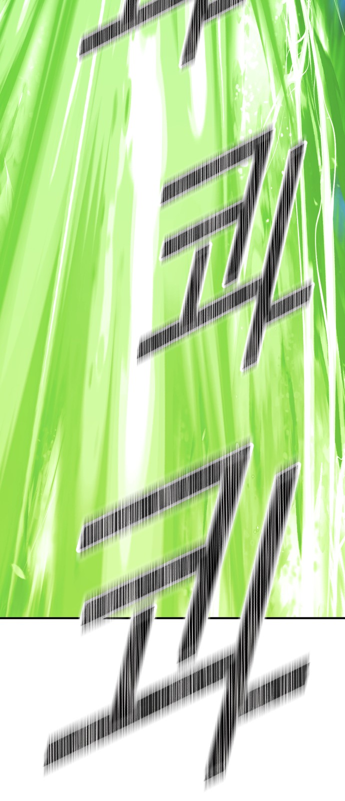 238 페이지