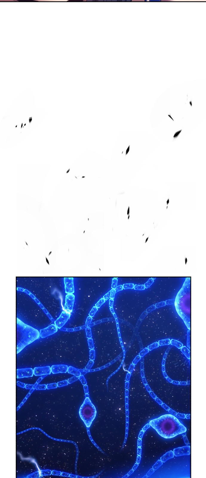 117 페이지