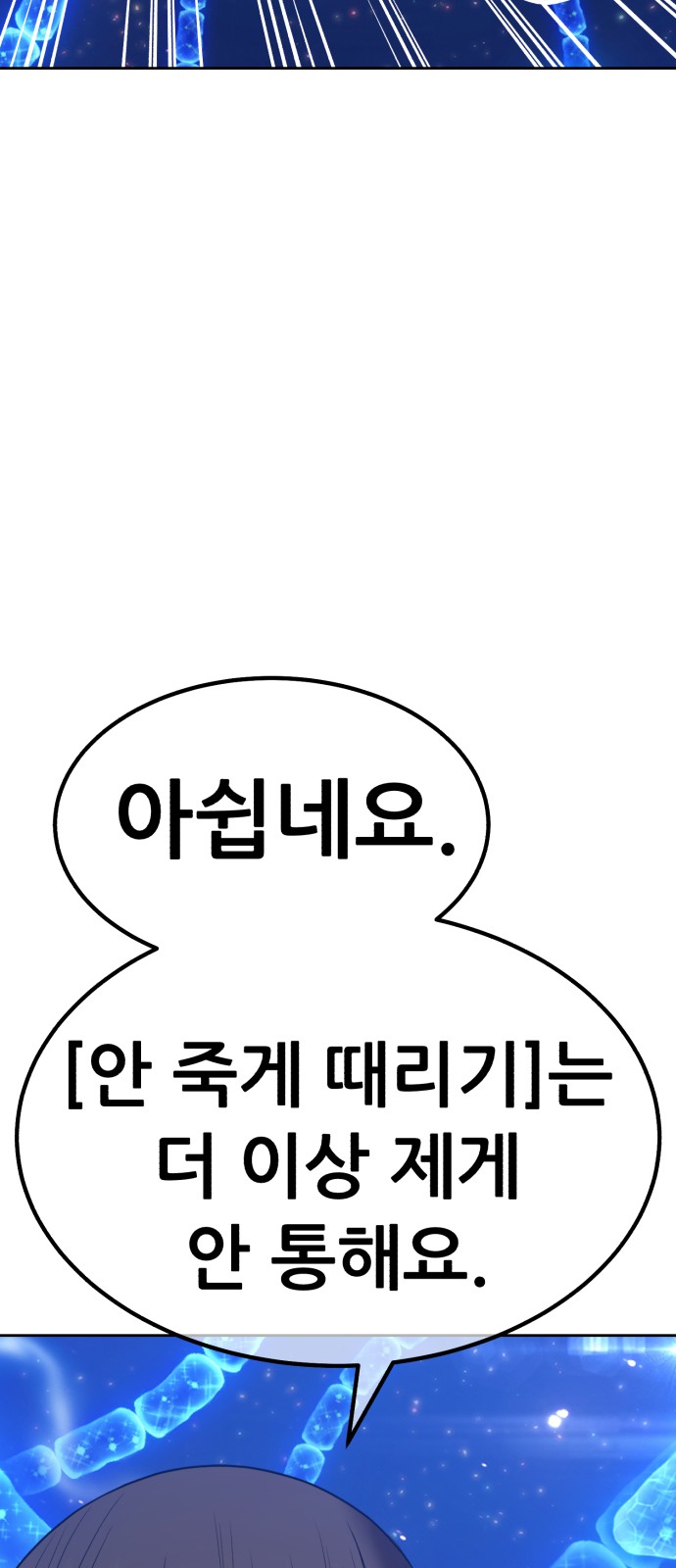 248 페이지