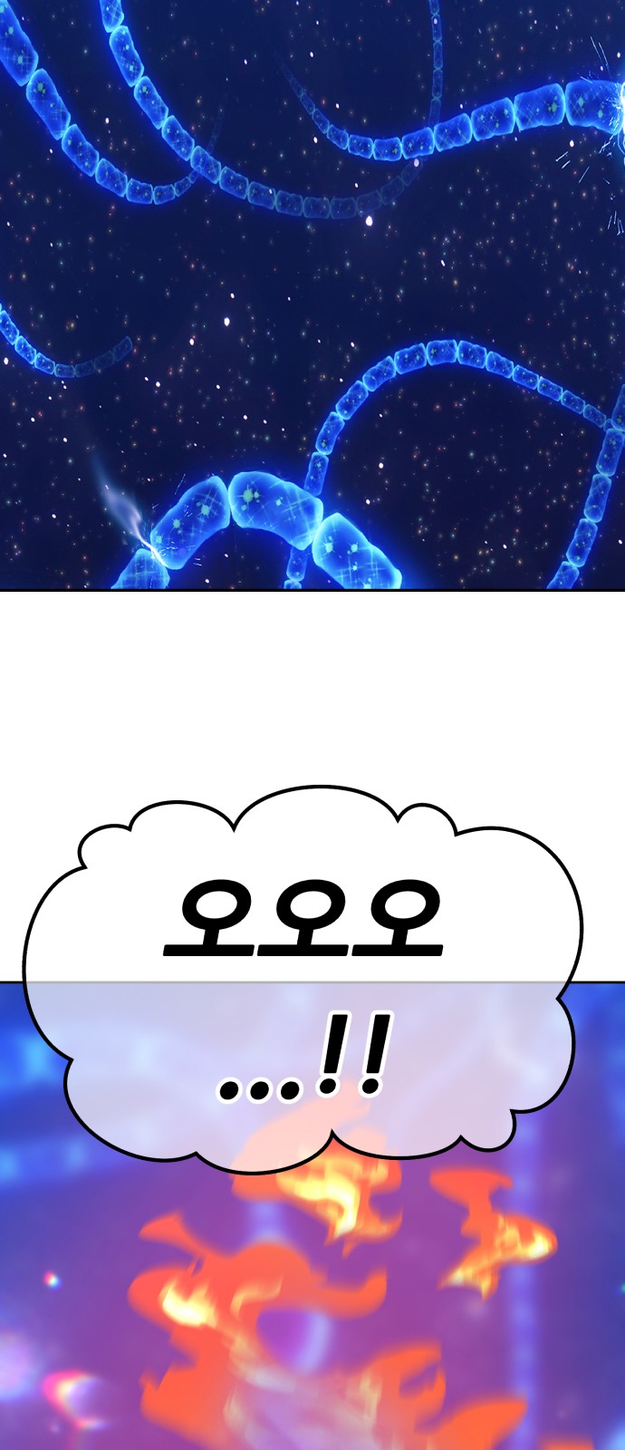 244 페이지